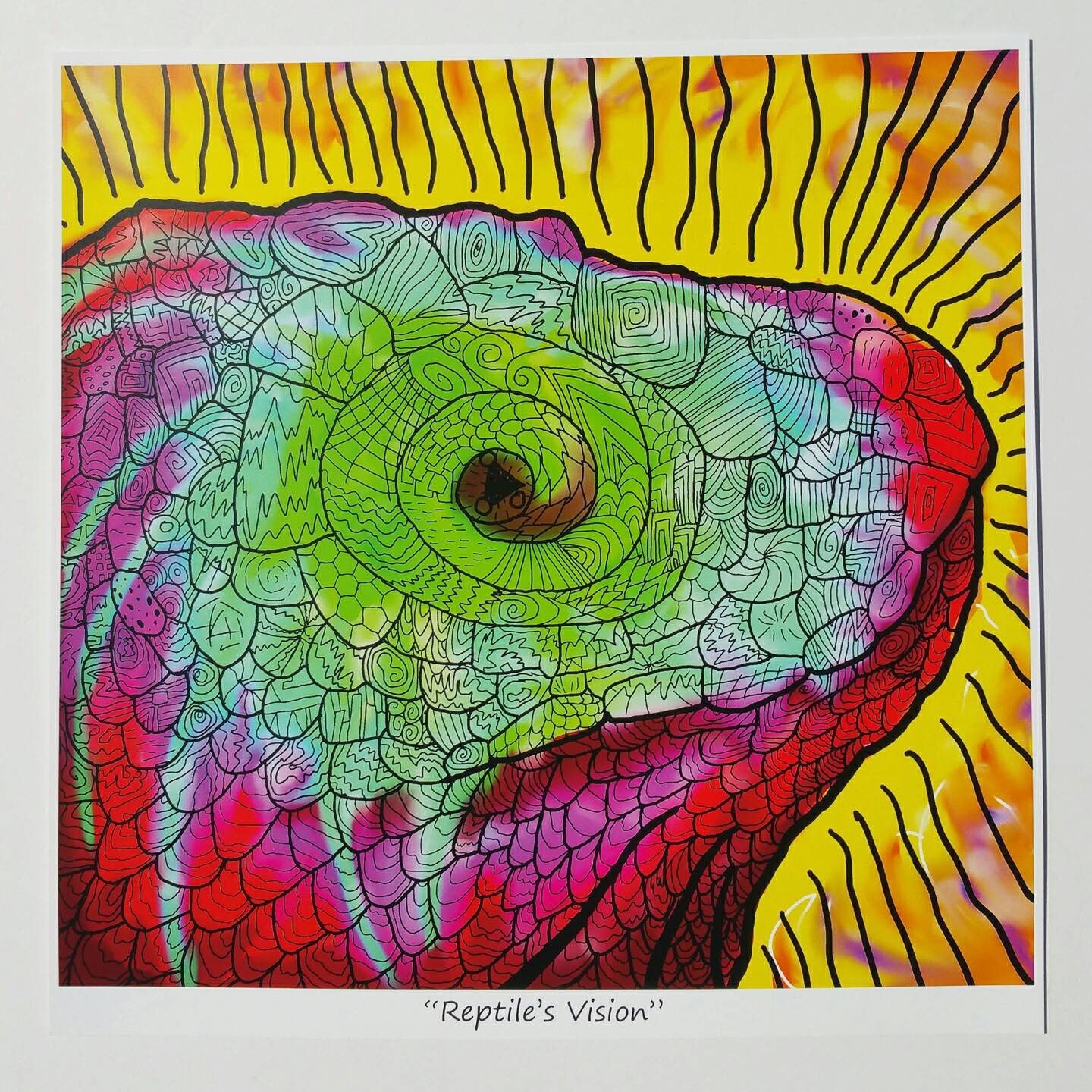 Reptile’s Vision: Reptile’s Vision