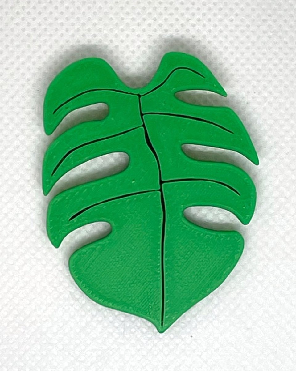 Green Leaf Pins: Monstera A