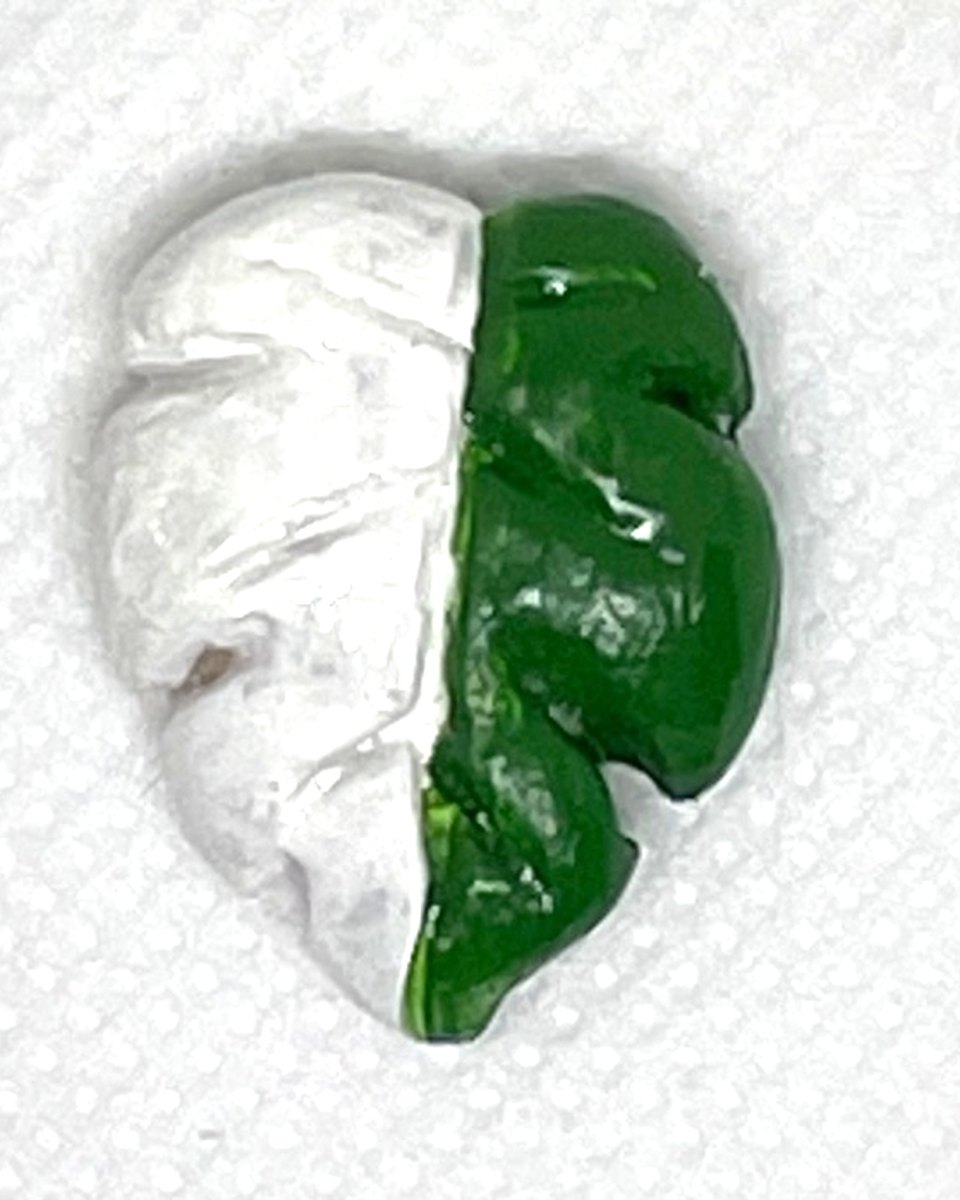 Puffy Monstera Charm: Half white