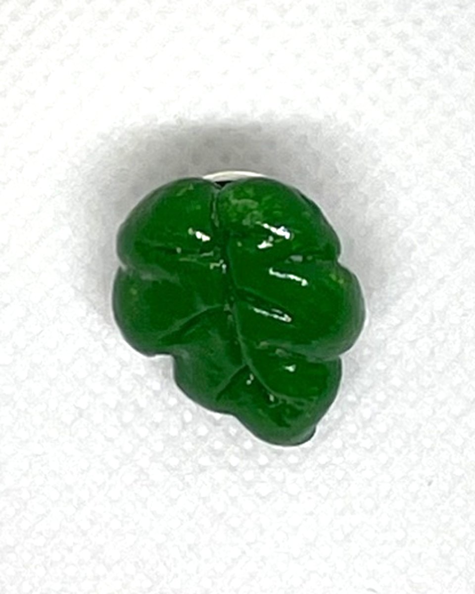 Mini Monstera Pins: Forest 6