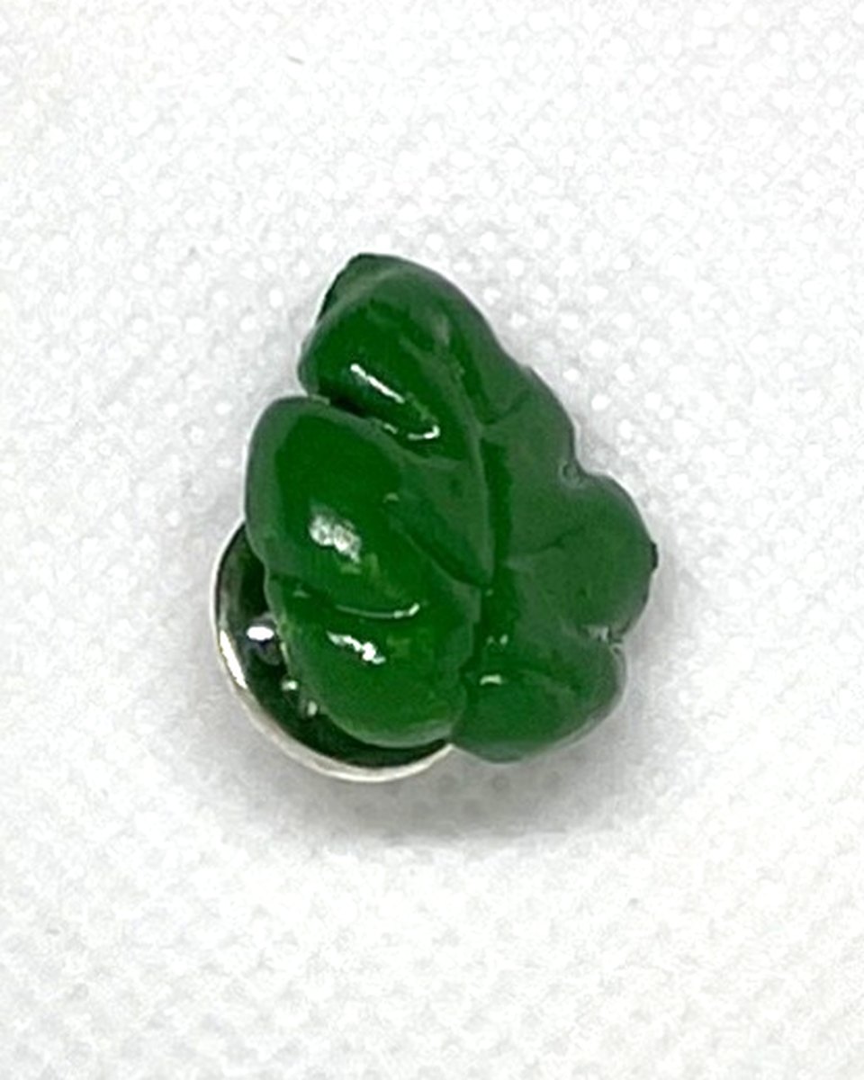 Mini Monstera Pins: Forest 5